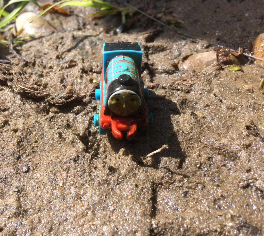 3 Rivers Clean Up&nbsp;2019