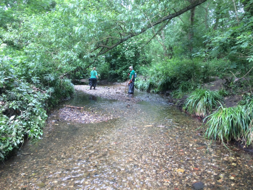 A Virtual Tour of Lewisham’s Rivers